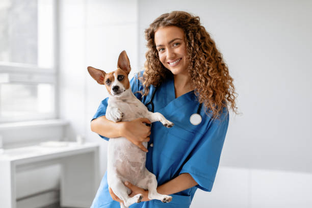 How to Survive a DEA Inspection - Veterinary Medicine and Controlled Substances